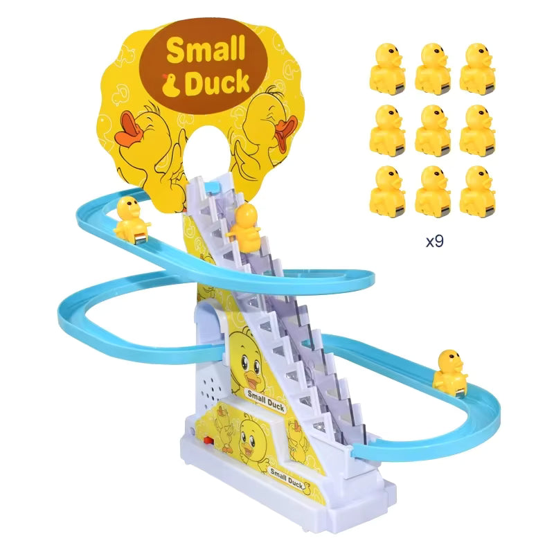 The ducks train